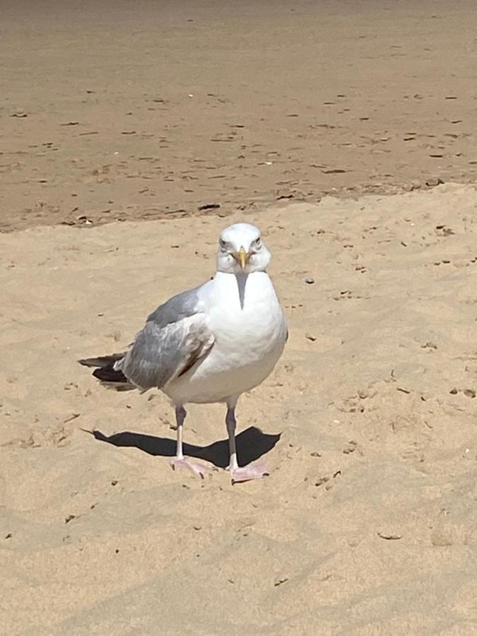 Camping De La Falaise A Equihen Plage Bagian luar foto